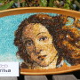 venere